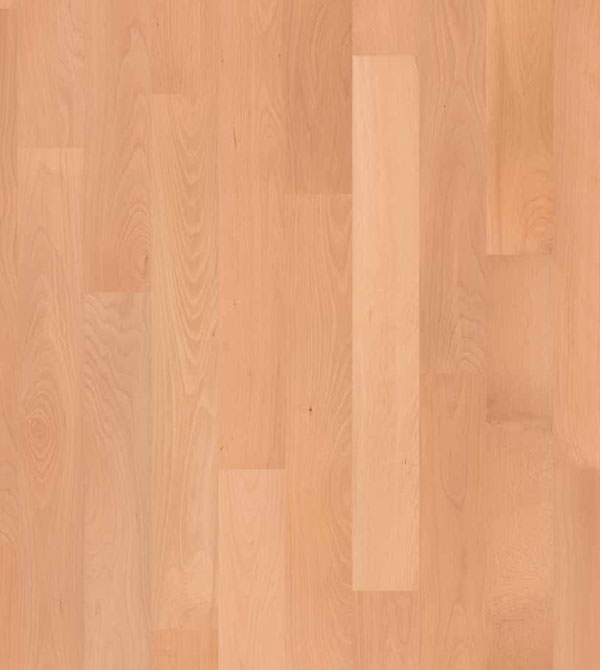 buche_ged_select_600